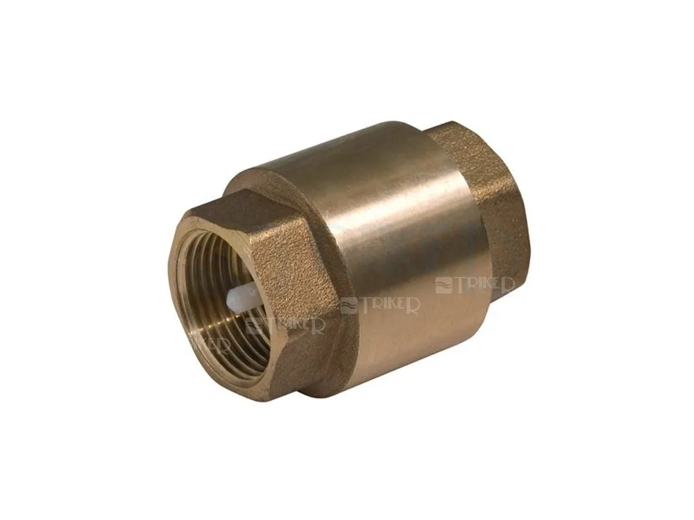 Klapka zpětná Slovarm K-1039 DN50 2" Hoge Kwaliteit